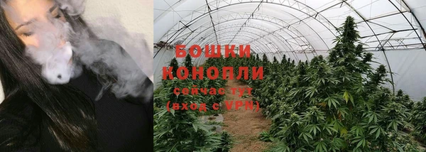 винт Сатка