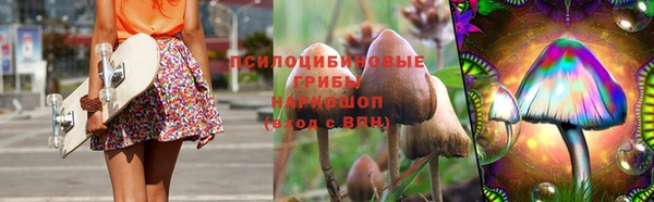мдма Богданович